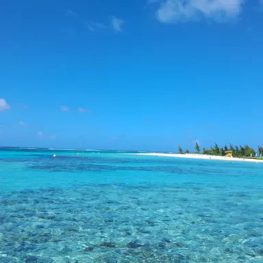 Profile image of 김하윤