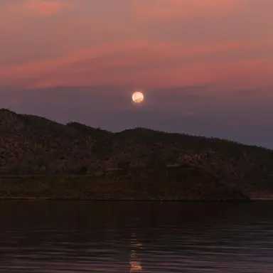 Profile image of 도가빈