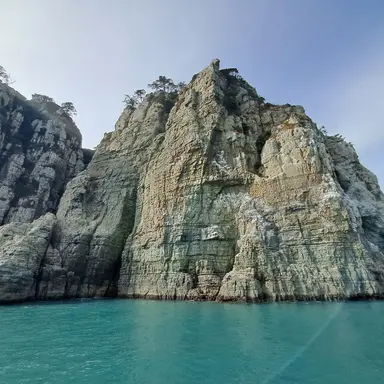 Profile image of 남하준