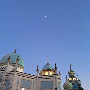 Profile image of 유석우