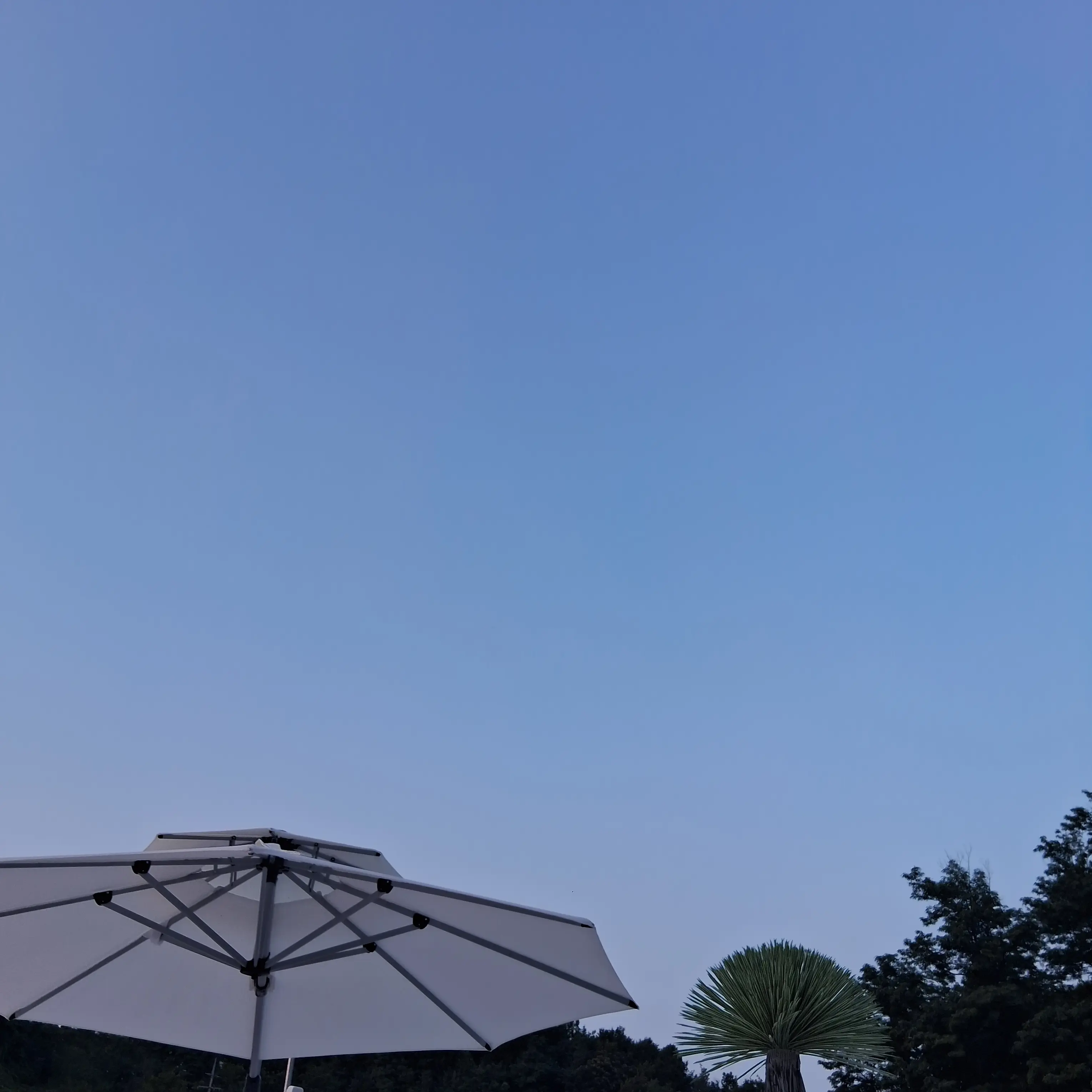 LooseBolt9554의 청명