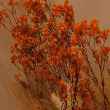 Profile image of 박덕개