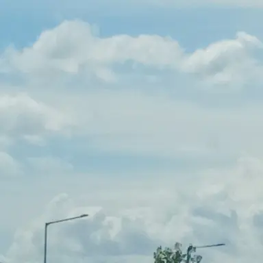 Profile image of Dino