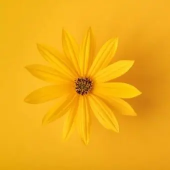 Profile image of 각별
