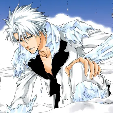 Profile image of Toshiro Hitsugaya