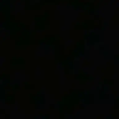 Profile image of 이민호