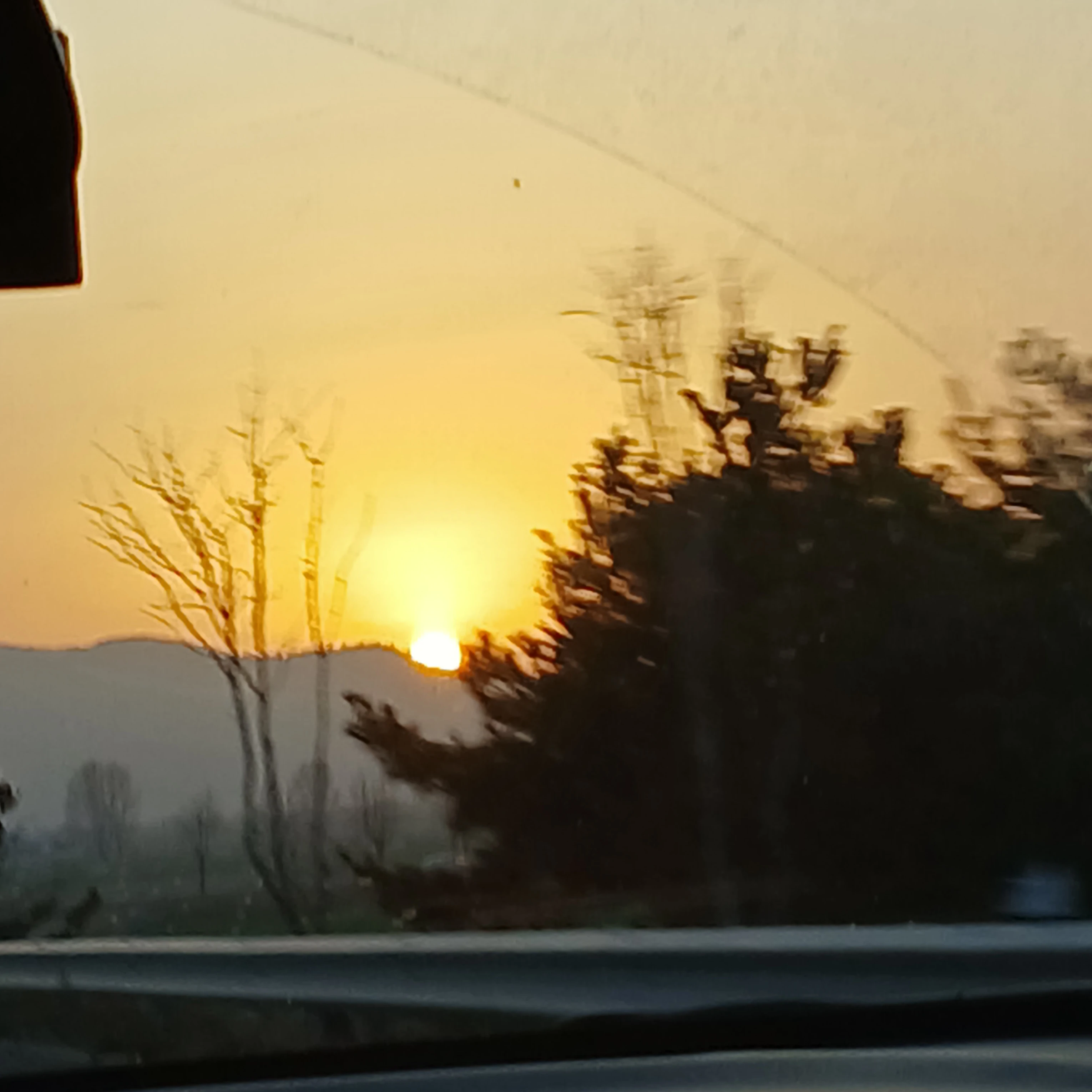 요시로 타가쿠