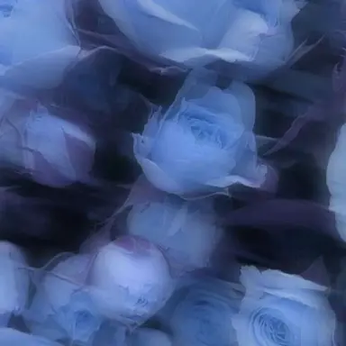 Profile image of 파이브