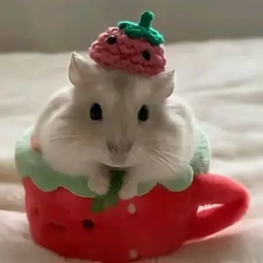 Profile image of 담임쌤