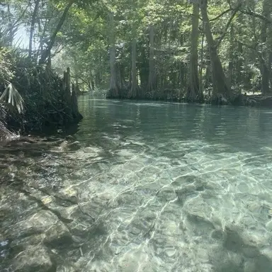 Profile image of 레비