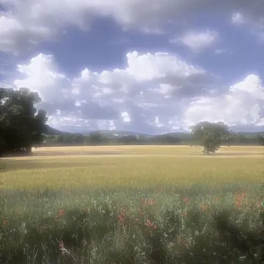 Profile image of 시테탐포