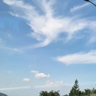 Profile image of 유빈