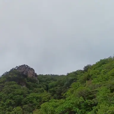 Profile image of 오뉴