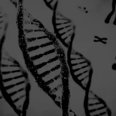 Profile image of 정형준