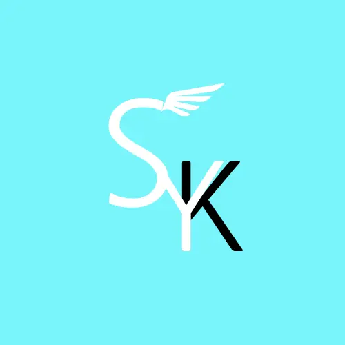 SKY_FLY의 SKY (제작자)(?)