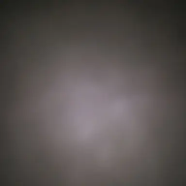 Profile image of 이예린