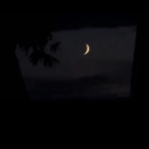 임시완