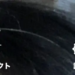 BumpyFloor2976의 好きな人