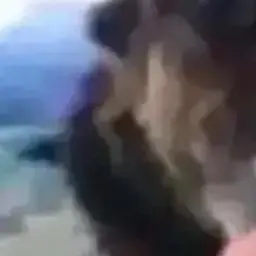 Njnn의 나가에 이쿠