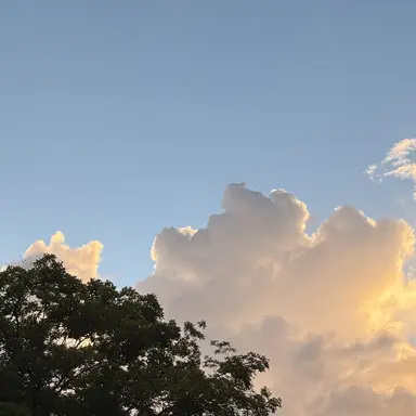 Profile image of 리레볼루션