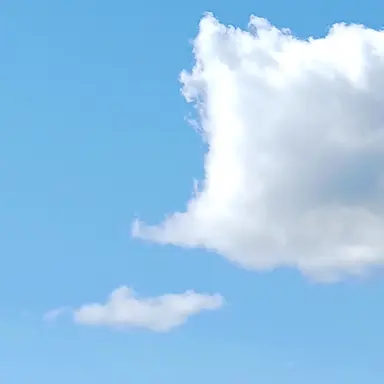 Profile image of 現枢軸たち