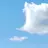 現枢軸たち