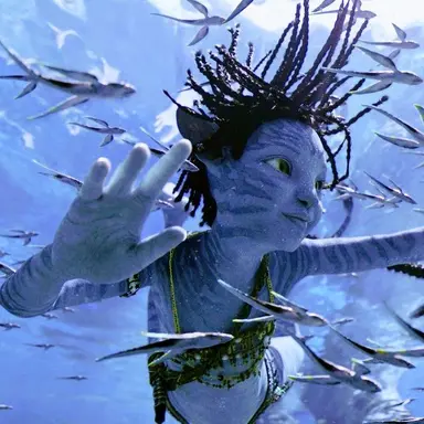 Profile image of 투크티리