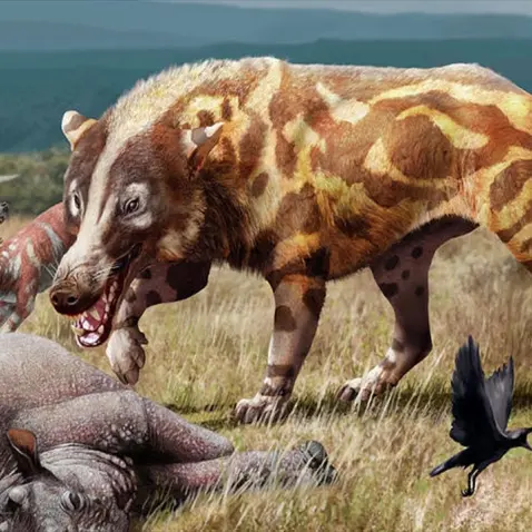 woo4861202의 플라이스토세