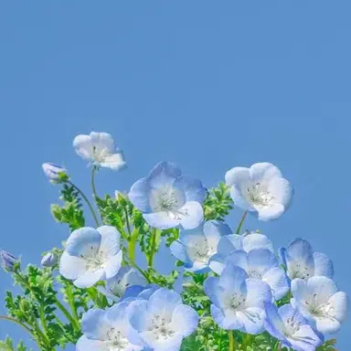 Profile image of 행크