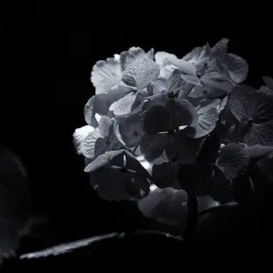 Profile image of 우융