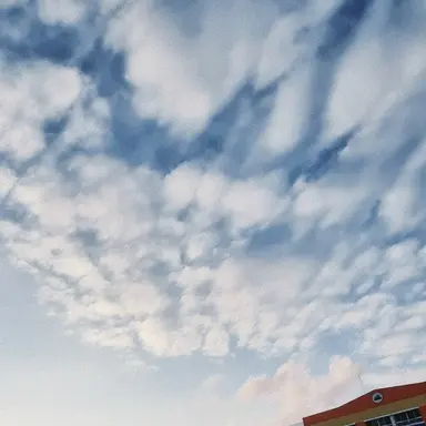 Profile image of 여우