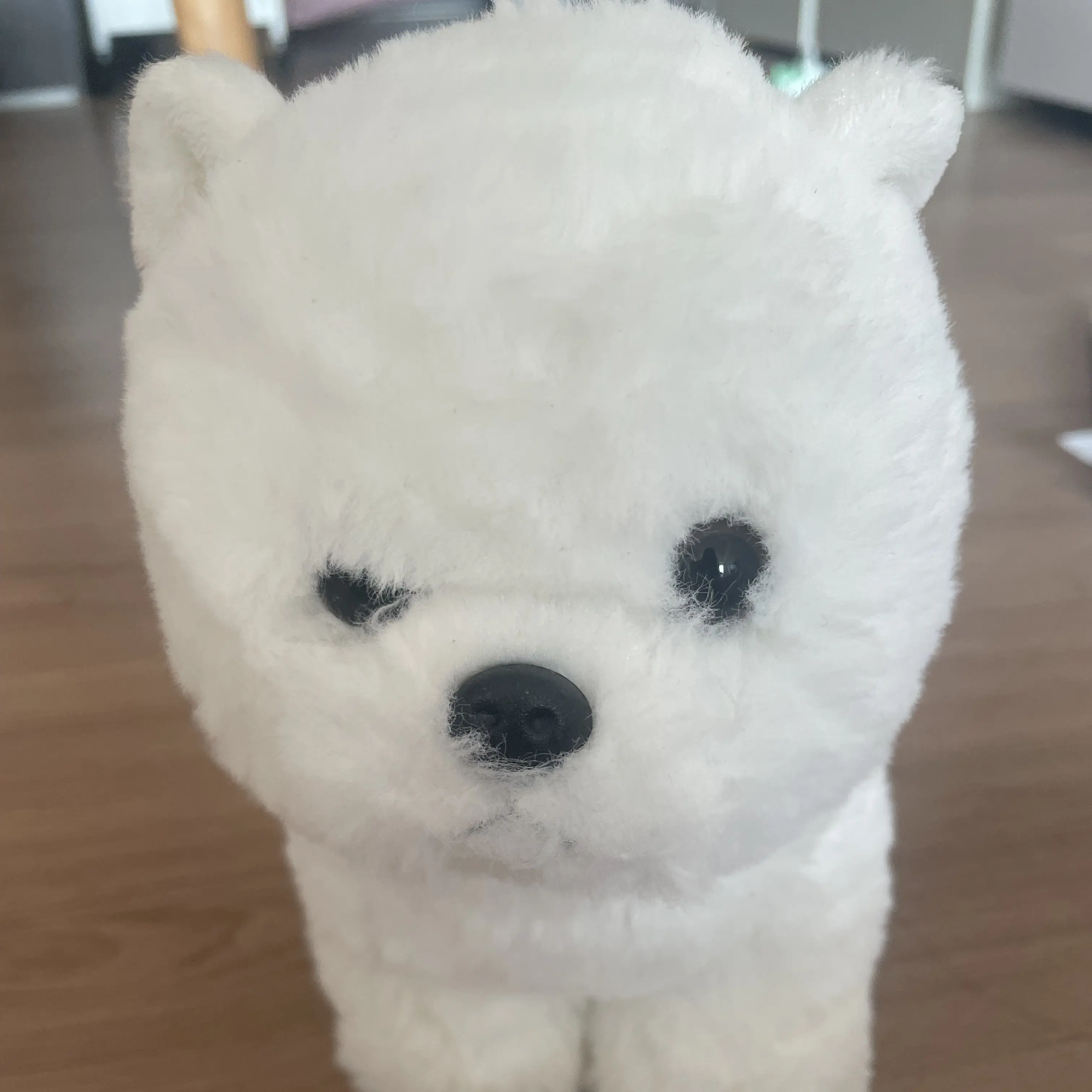 20161009의 강아지를 키워라!