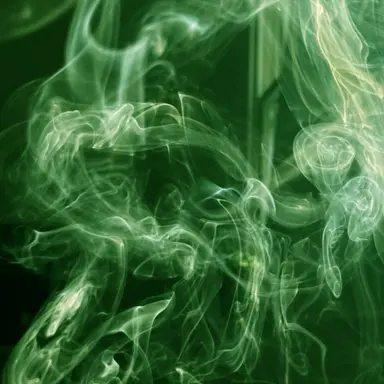 Profile image of 청마플