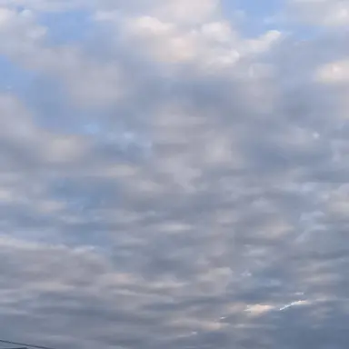 Profile image of おばさん