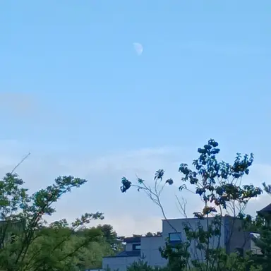 Profile image of 박경원