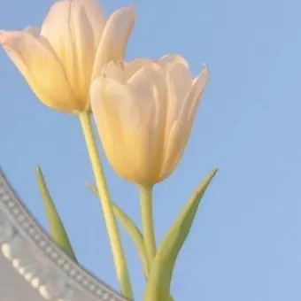 Profile image of 각별