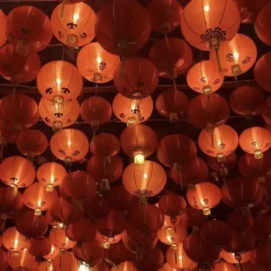 Profile image of 코마