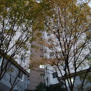 Profile image of 김일진