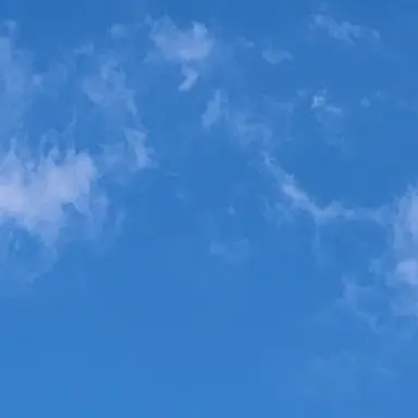 Profile image of 남자들