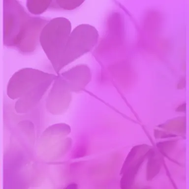 Profile image of 수현