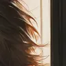 Profile image of 日下部篤也