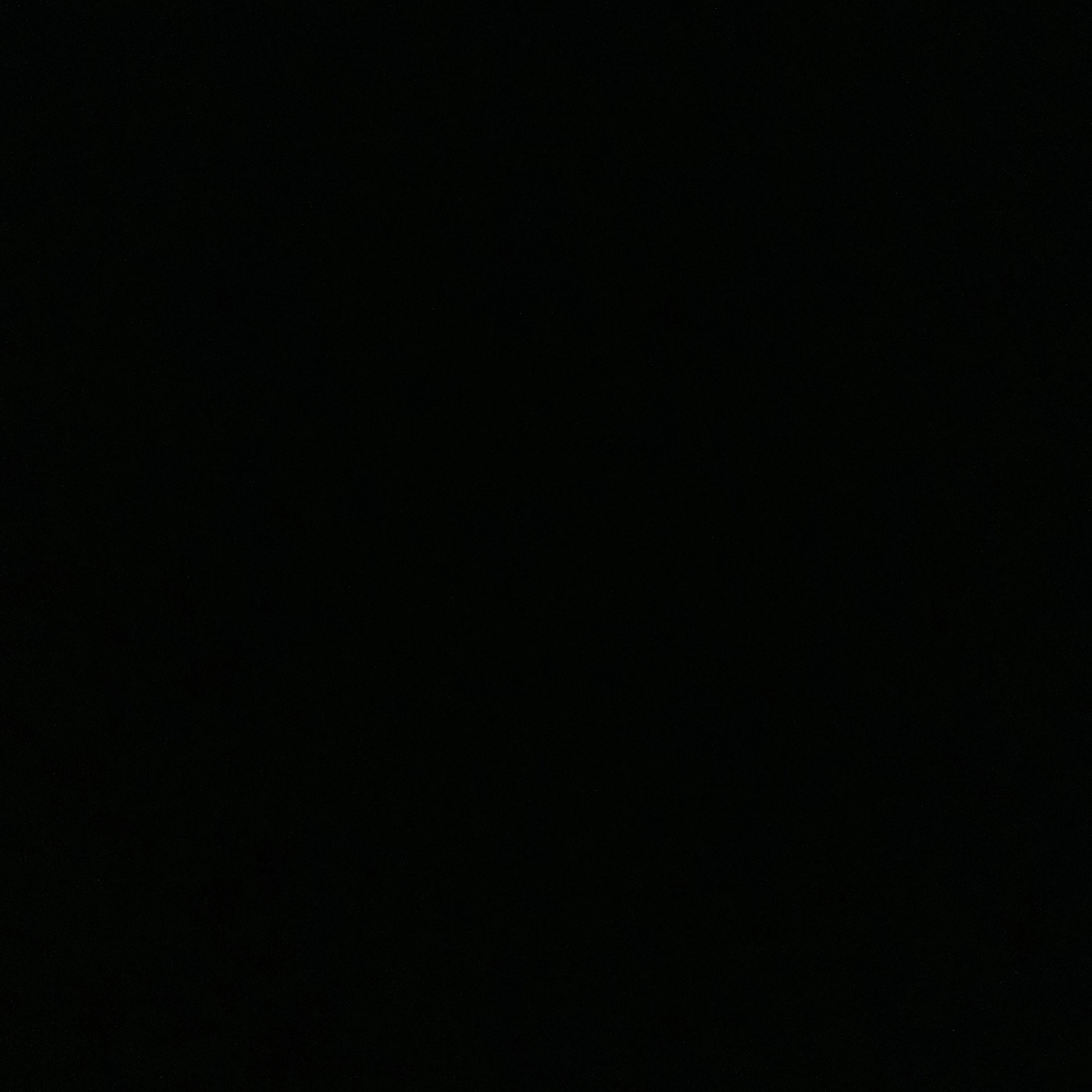 진금룡