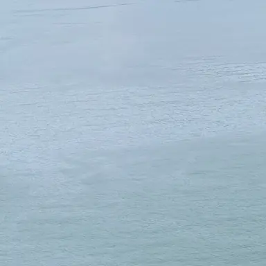 Profile image of 강라밀