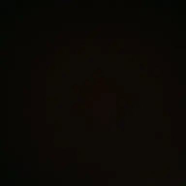 Profile image of 잠뜰