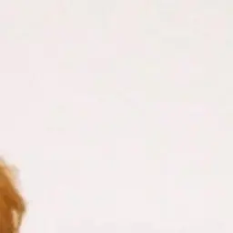 0_.0._의 공지