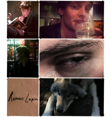 Profile image of Remus Lupin