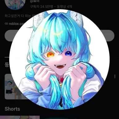 Profile image of 료미