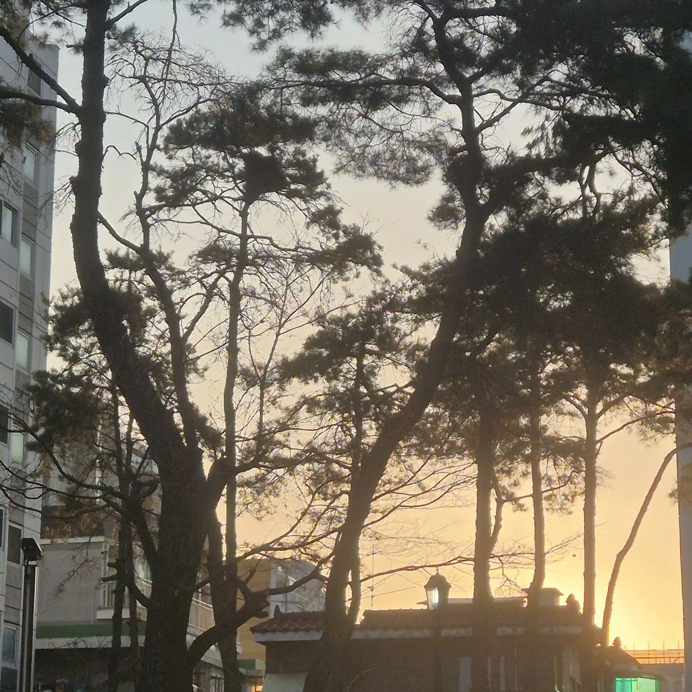 FuzzyBasil2138의 소꿉친구 무리