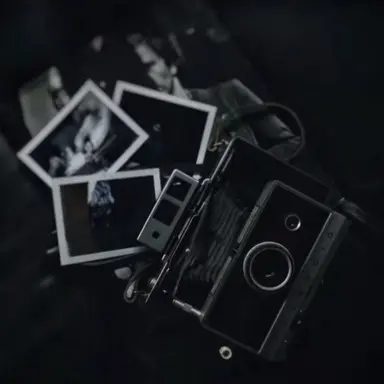 Profile image of 베네