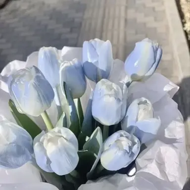 Profile image of 잠뜰